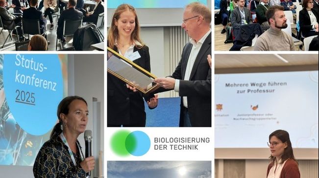 Zweite Statuskonferenz